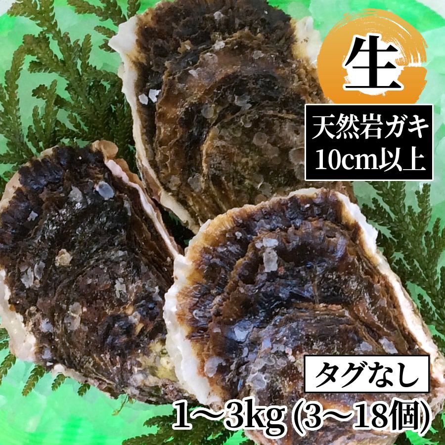 貝（岩ガキ他） | 魚倉