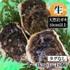 鳥取県産 天然岩ガキお任せセット