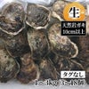 鳥取県産 天然岩ガキお任せセット