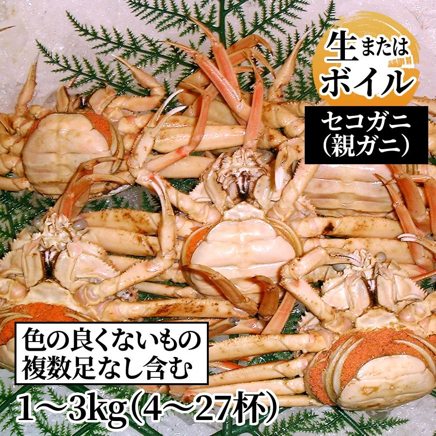 セコガニ（親ガニ） お任せセット（4～27杯）（生またはボイル） | 魚倉