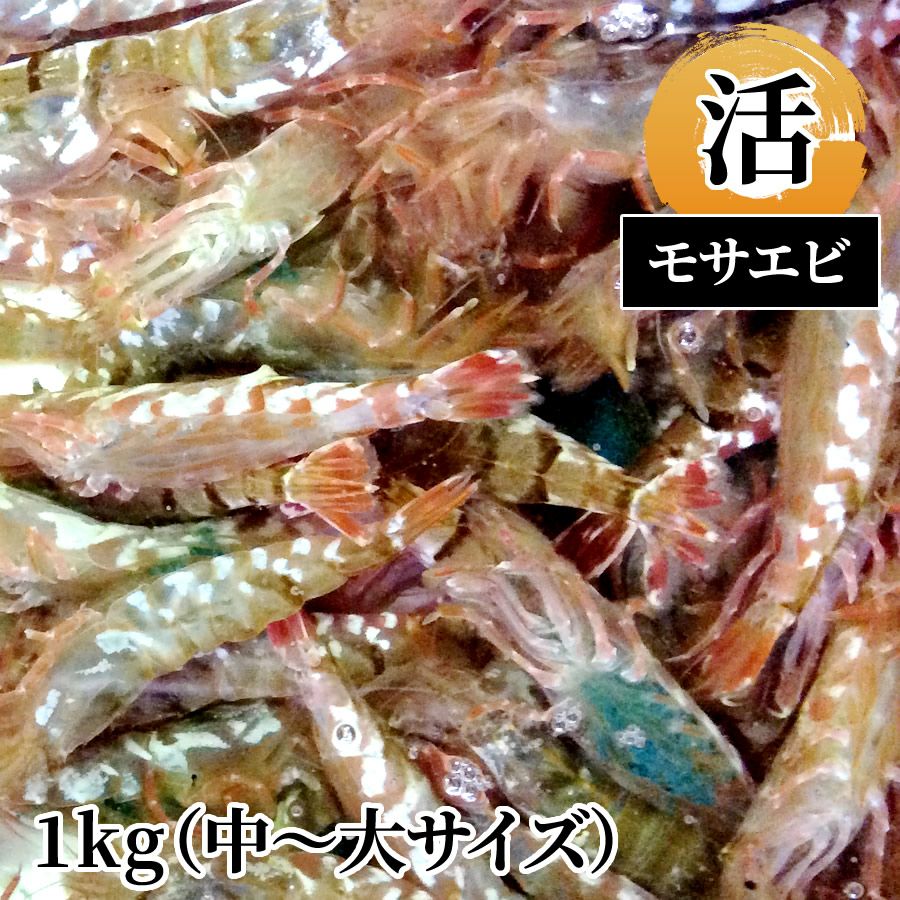 モサエビ 活1kg