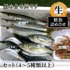鮮魚詰め合せセット