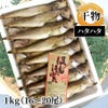 干しハタハタ 1kg（16～20尾）