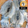 甲イカ（生1kg 3杯前後）