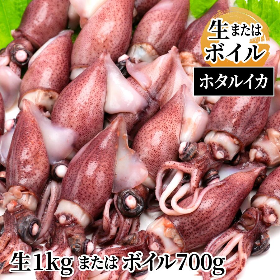 ガラスのホタルイカ 2個セット(生、ボイル) 誕生日プレゼントにもらったのは……「生」と「ボイル」 “まさかのガラス