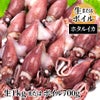 ホタルイカ （生1kg又はボイル700g）
