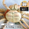 セコガニ（親ガニ） 姿 （小～大）（生またはボイル）