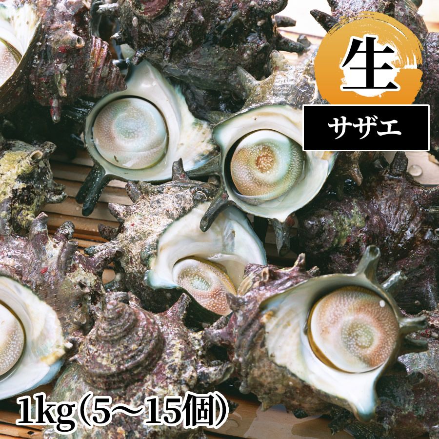 貝（岩ガキ他） | 魚倉