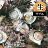 サザエ 生1kg
