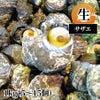 サザエ 生1kg