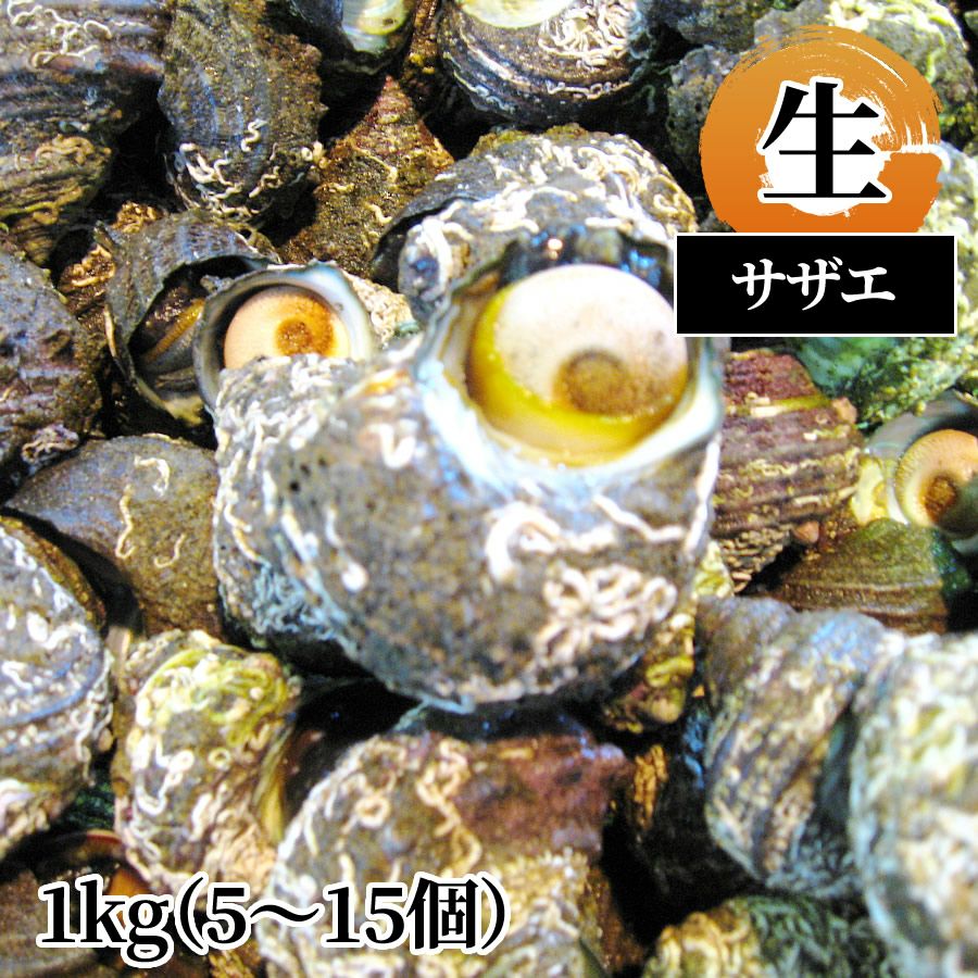サザエ 生1kg
